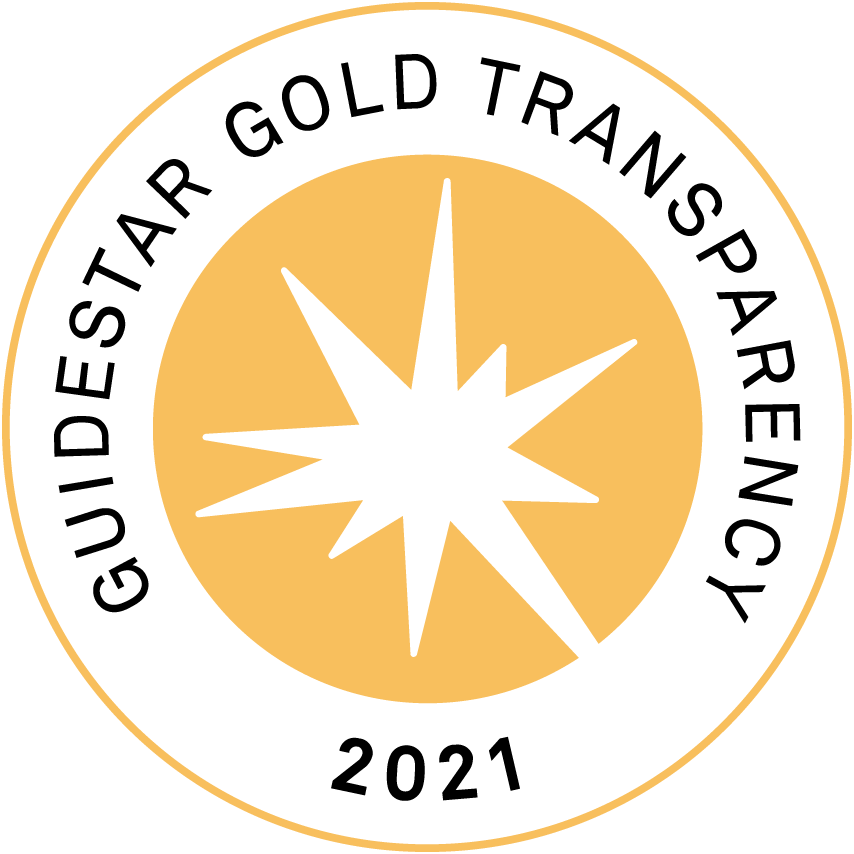 Guidestar Report